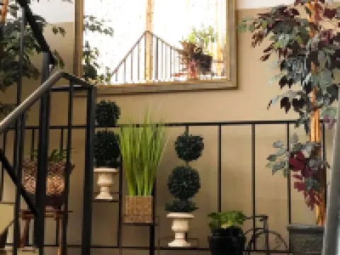 M スター ホテル マンスフィールド マンスフィールドのホテル