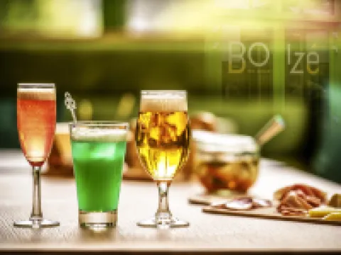 尼奧爾普瓦特萬沼澤美居酒店