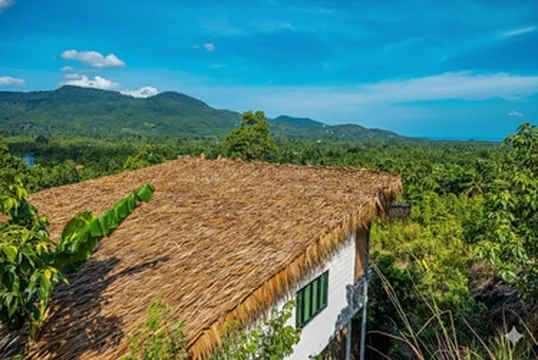 รูปภาพของโบโฮ บูติค บังกาโล