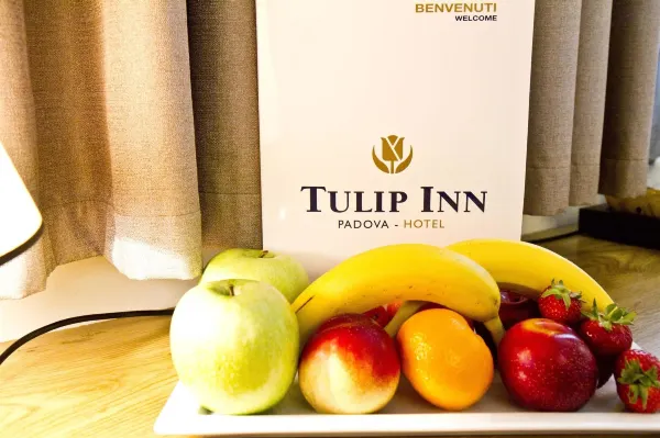 تيوليب إن بادوفا الغرف Photos