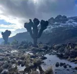 Great Circle Camping