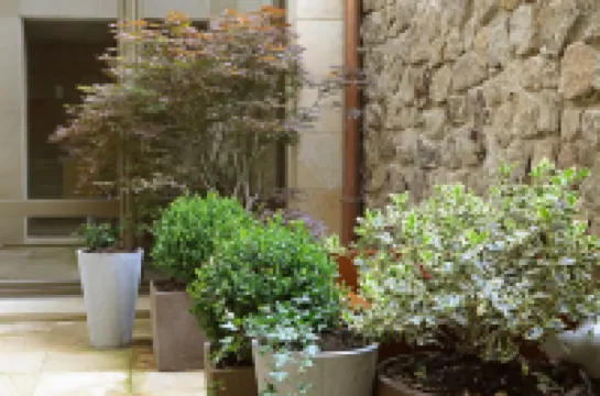 Artesa Suites & Spa Hotels in 