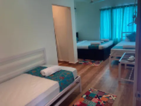 Rest Nest - Havelock