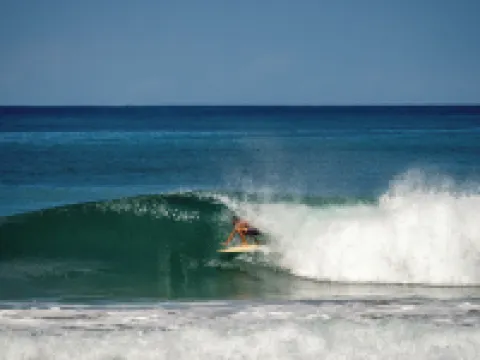 Surf Paradise Hotels in Carmen