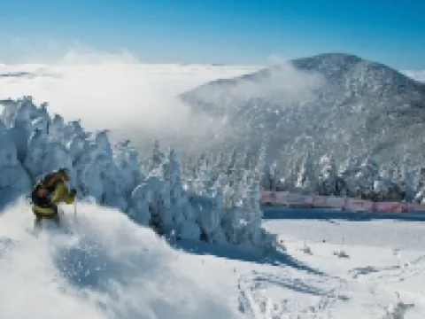 Winter Wonderland Near Jay Peak 蒙哥馬利酒店