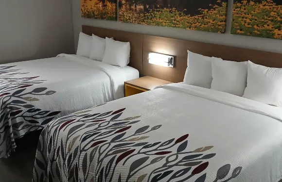 利茲紅屋頂旅館