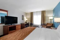 Comfort Inn & Suites Lees Summit - Kansas City - Wifi