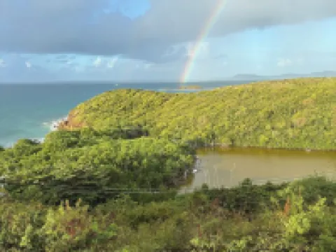 Regatta’s Island Time Getaway サウスサイドのホテル