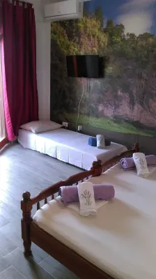 Apartments and Room Rest - Homestays