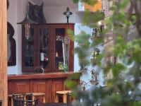 Suites & Hotel El Quijote Hotels in Cuenca