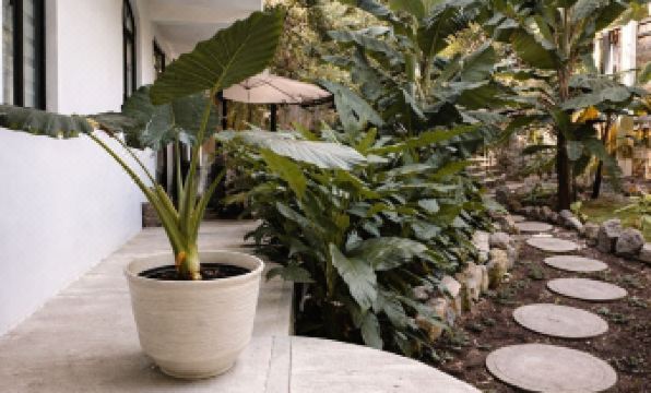The Hidden Garden