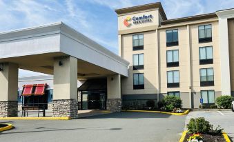 Comfort Inn & Suites Danbury-Bethel