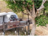 Glamping en Playa Potrero Hotels in Potrero