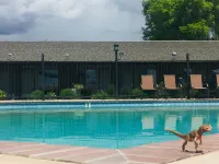 Dinosaur Inn & Suites Hoteles en Condado de Uintah