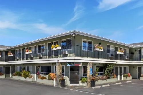 Best Western Tradewinds