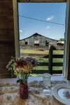 Dixie’s Cottage @ Muletown Farm• Fishing Pond • Fire Pit • Horse • Sunset Views