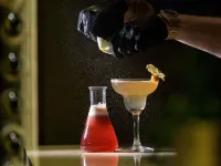 Mövenpick Hotel Geneva - bar