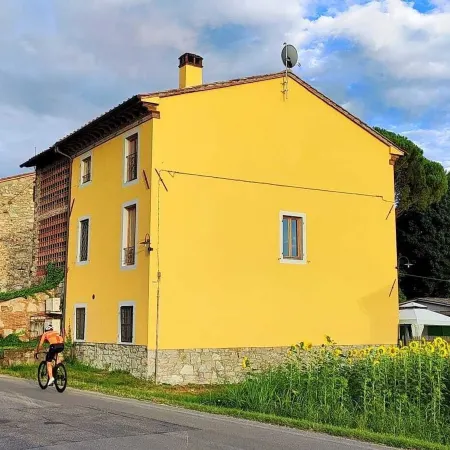 B&B Toringo