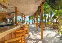 Mayan Monkey Isla Mujeres - Social Hotel - bar