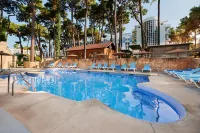 AluaSun Marbella Park - Pool