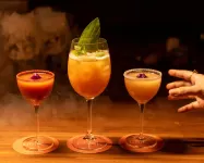 Hyatt Raipur - Baarit