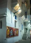 Viraalay藍根 - 烏代布爾五卧室傳統住宅別墅 - 按摩浴池