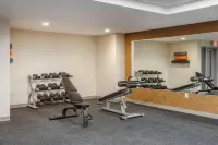 Four Points by Sheraton Newark Airport - Gym
