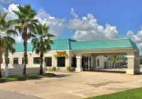 Regency Inn & Suites - Saint Augustine - واي فاي