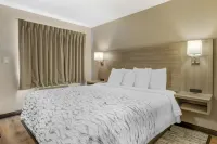 Red Roof Inn Bourbonnais - Motels