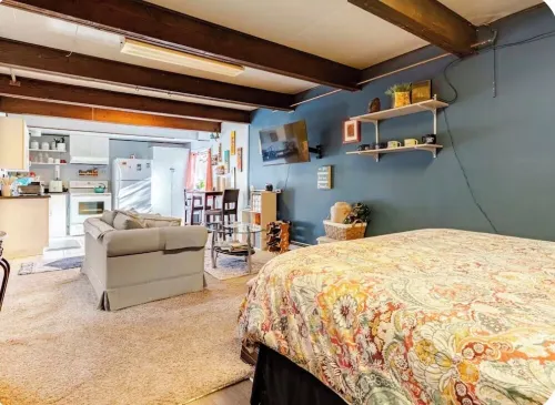 Large Govt hill studio-near  downtown -  Appartamenti vacanze