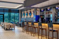 Radisson Blu Hotel, Sakarya - bar