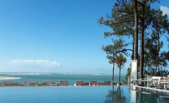 a large outdoor swimming pool surrounded by pine trees , with a view of the ocean in the background at Les Flots Bleus