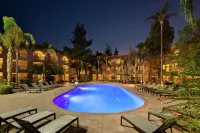 Embassy Suites by Hilton Phoenix Tempe - مسبح