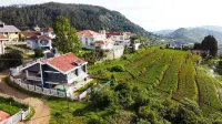 Tiger Hill Homestay