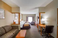 Quality Inn & Suites MidAmerica Industrial Park Area
