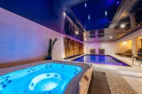 Best Western Plus Au Cheval Blanc Mulhouse Nord - spa