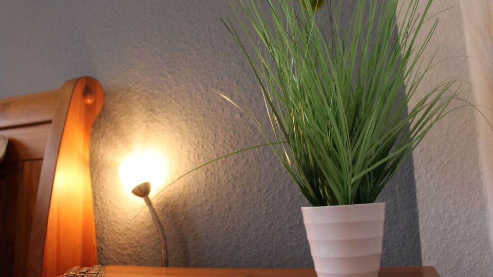 Ferienwohnung Berta Lüneburg