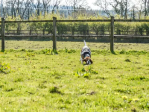 Primrose - 1 Bedroom Cottage - Llanteg โรงแรมในAmroth