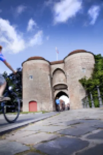 Koffieboontje Budget 1