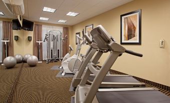 a well - equipped gym with various exercise equipment , including treadmills and weight machines , in a well - lit room at Holiday Inn Express Pembroke
