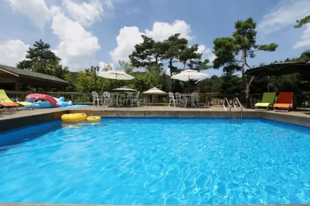 Hoengseong Winter Travel Pension Отели рядом с достопримечательностью «Hoengseong Welli Hilli Park Ski Resort»