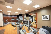 Holiday Inn ARDMORE I-35 by IHG - gimnasio
