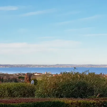 Panoramico