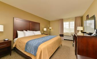 Comfort Inn and Suites Manheim