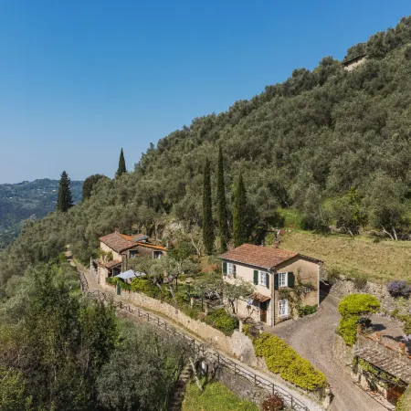 Il Metatino