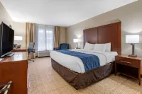 Comfort Inn & Suites Northern Kentucky
