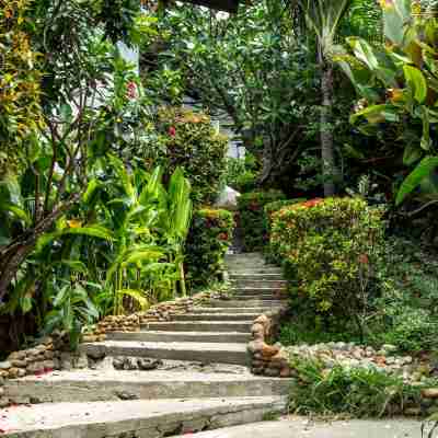 帕岸島扎瑪度假村 Hotel Exterior