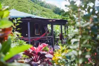 Hibiscus Valley Inn Các khách sạn ở 
