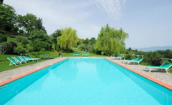 a large outdoor swimming pool surrounded by lush greenery , with several lounge chairs placed around it at Villa Campestri Olive Oil Resort