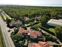 Palazzeta II